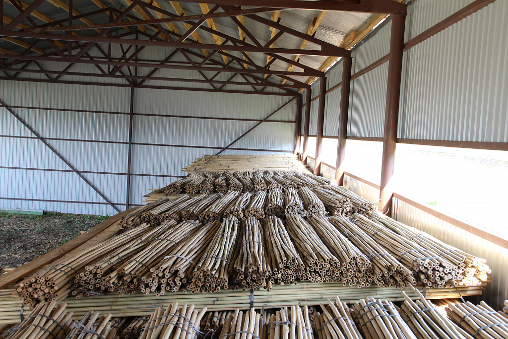 Натуральный бамбук L 2,95 метра 22/24 мм (50 штук)