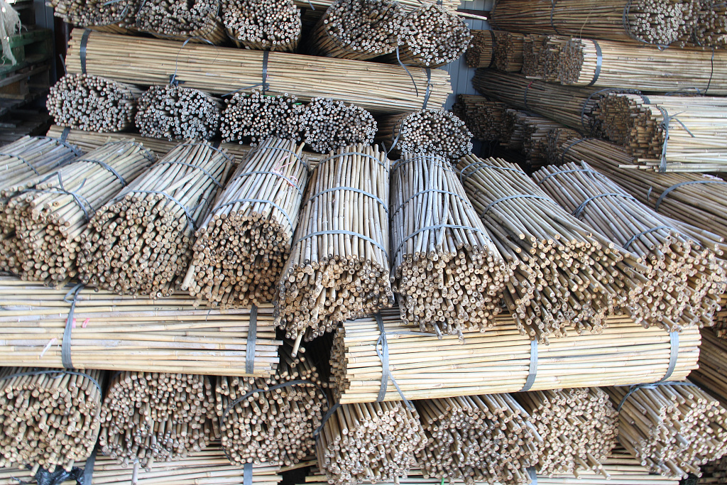 Натуральный бамбук L 2,10 метра 14/16 мм (100 шт)